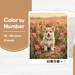 May include: A colour by number kit featuring a painting of a tan and white Corgi sitting in a field of red and pink tulips. The text Colour by Number, 16 - 48 colours, and 4 levels is visible on the left side of the tan and white graphic layout.