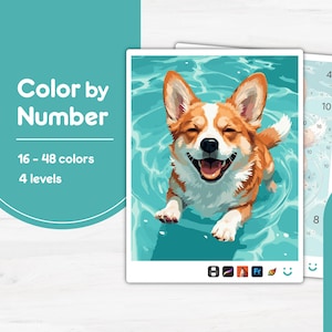 May include: A paint-by-numbers kit showing a happy corgi dog in water. The kit includes 16-48 colours and 4 levels. The words "Color by Number" are displayed in white text on a teal background.