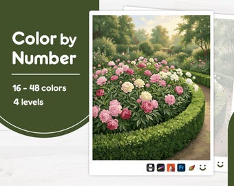 Peonies in Full Bloom - Color by Number - Digital & Printable - 4 Levels