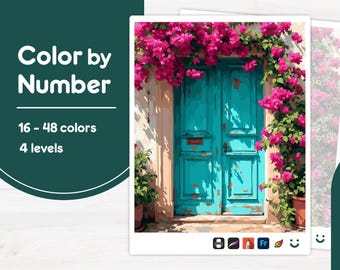 Turquoise Door with Flowers - Color by Number - Digital & Printable - 4 Levels