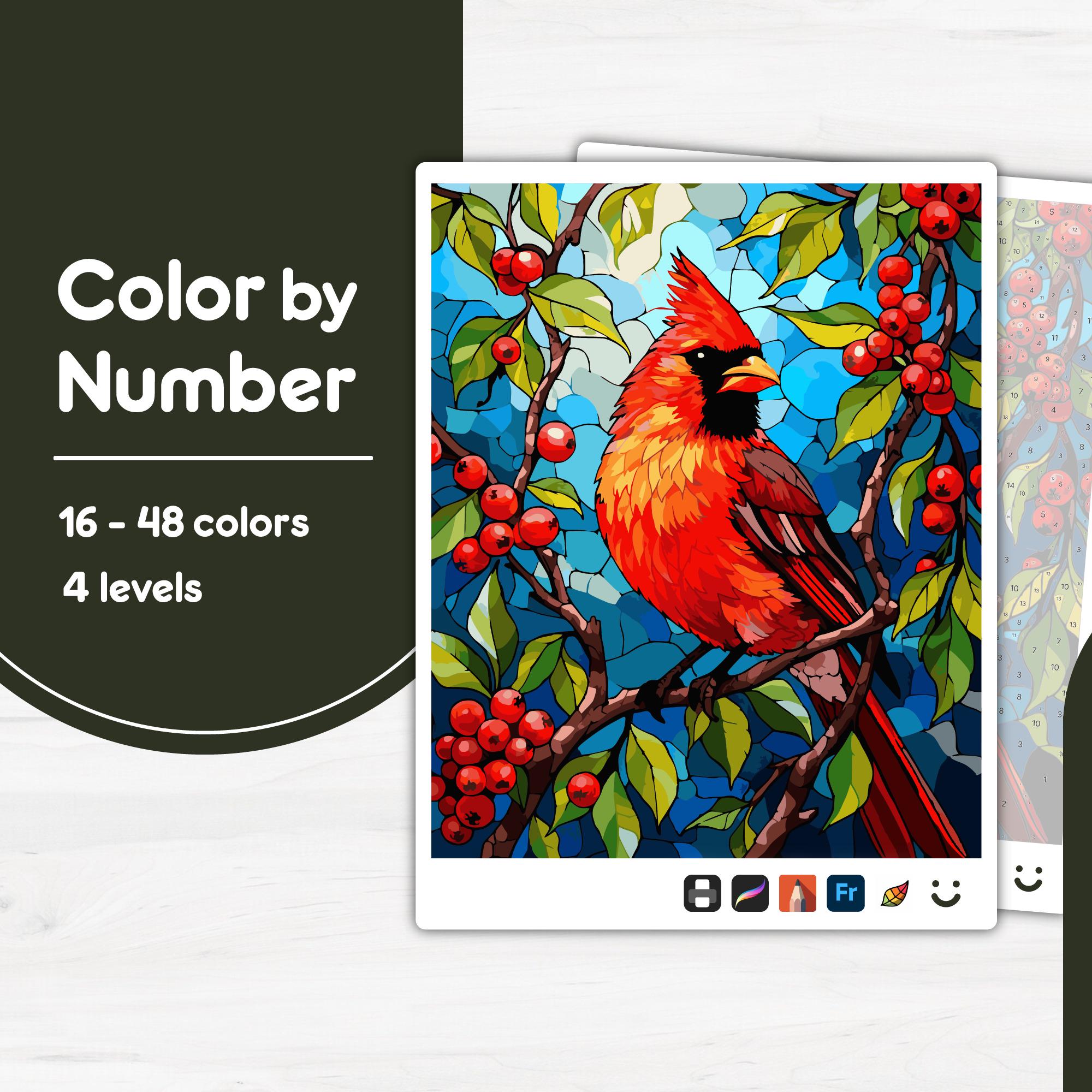 Northern Cardinal Color by Number PBN – Procreate, Printable PDF, SVG | Easy to Advanced for Kids & Adults