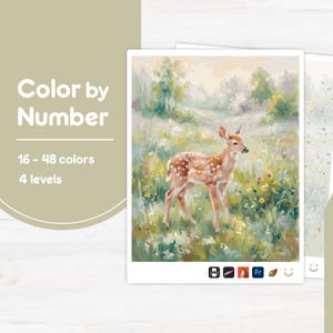 May include: A color by number kit featuring a painting of a spotted fawn standing in a field of green grass and yellow flowers. The text reads Color by Number, 16 - 48 colors, and 4 levels. The kit includes a numbered guide for painting.