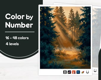 Sunlight Through Trees - Color by Number - Digital & Printable - 4 Levels