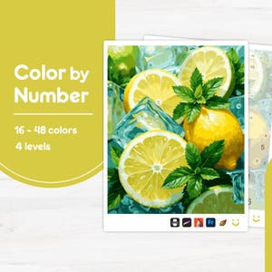 May include: A paint-by-number kit featuring a vibrant illustration of lemons, mint leaves, and ice cubes. The kit includes 16-48 colors and 4 levels. The image has a refreshing, summery theme, with bright yellow and green hues.