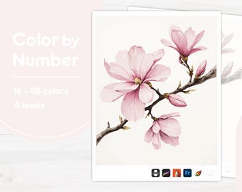 Pink Magnolia Flowers - Color by Number - Digital & Printable - 4 Levels