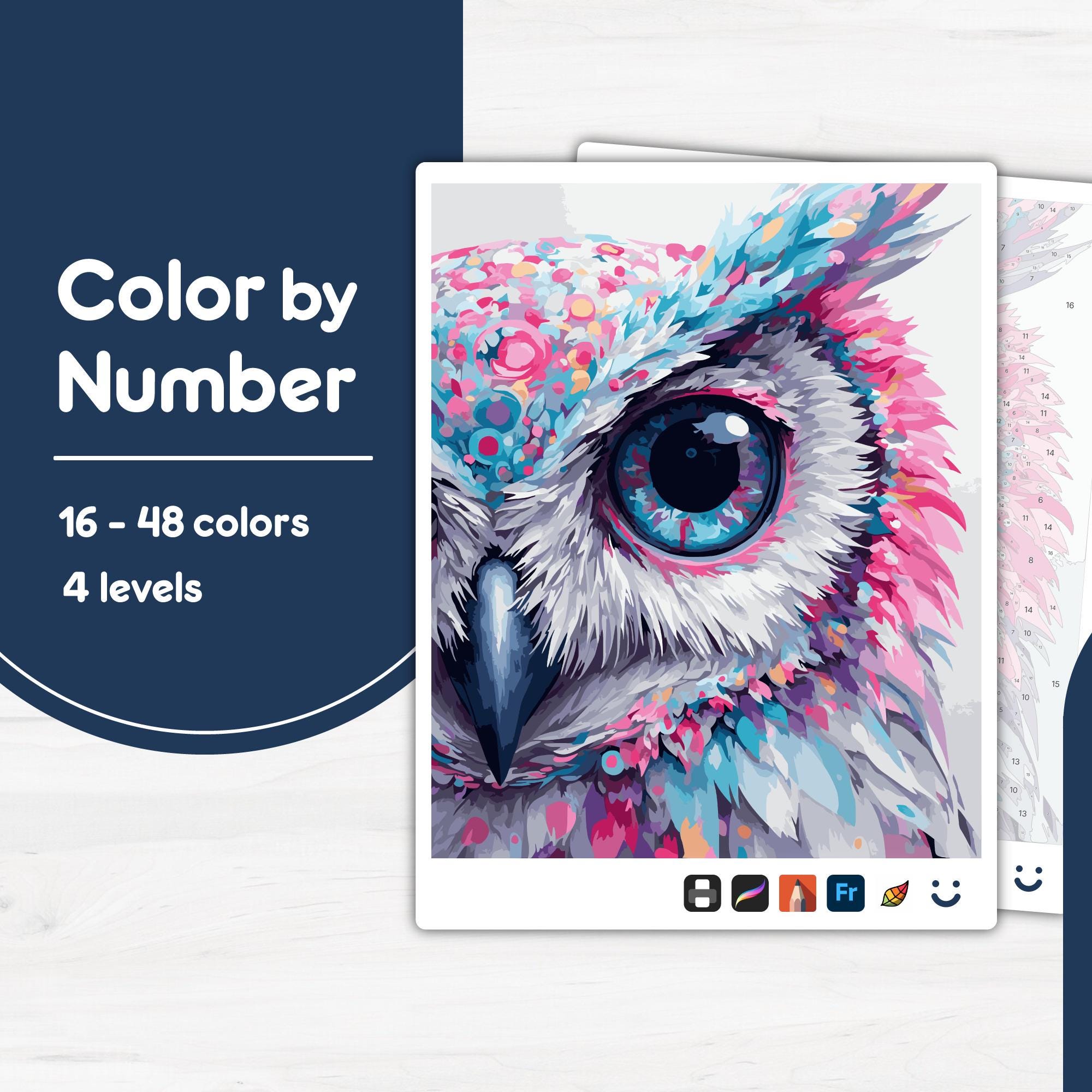 Blue Pink Owl Color by Number PBN for Procreate, Sketchbook, Prints, Easy/Advanced, Kid/Adult