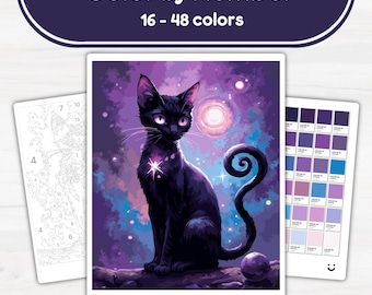 Black Cat in Space - Color by Number - Digital & Printable - 4 Levels