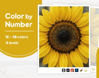 Bright Yellow Sunflower - Color by Number - Digital & Printable - 4 Levels