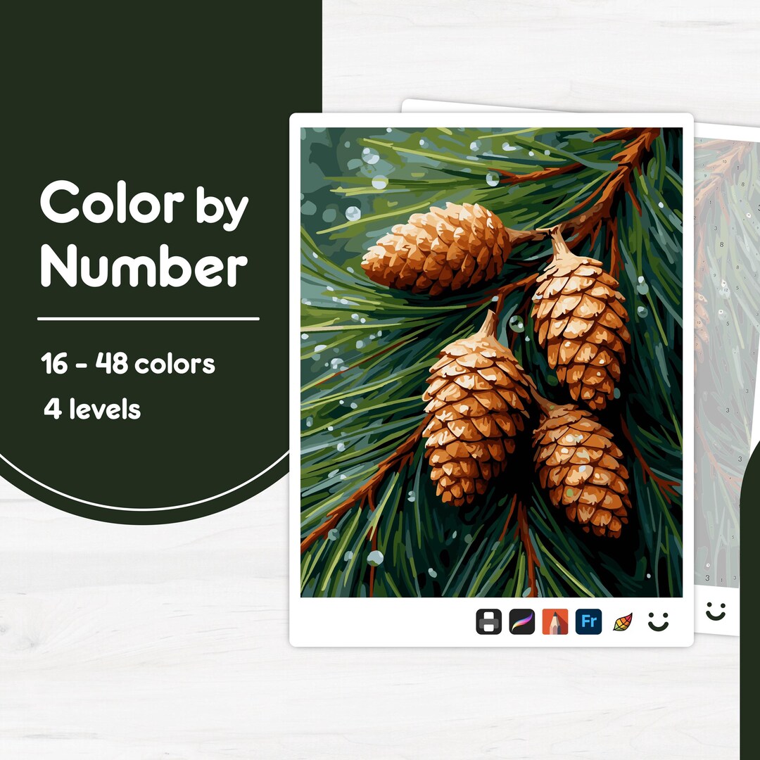 Pine Cones on Branch - Color by Number - Digital & Printable - 4 Levels ...