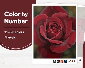 Red Rose Close-Up - Color by Number - Digital & Printable - 4 Levels