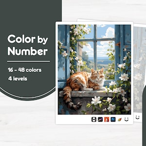 May include: A colour-by-number painting kit showing a cat relaxing on a windowsill. The image features a blue window frame, white flowers, and the text "Color by Number" with colour and level details.