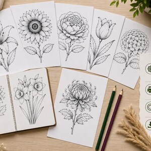 Puede incluir: Una colecci&oacute;n de dibujos de contornos de flores en blanco y negro, incluyendo un girasol y un tulip&aacute;n, sobre papel blanco. Tambi&eacute;n hay un cuaderno de espiral y l&aacute;pices de colores. El texto dice "60+ UNIQUE FLOWER OUTLINES".