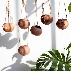 Handmade Coconut Shell Hanging Planter Set: Rustic Boho Decor