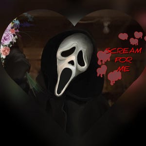 SCHREI_FOR_ME