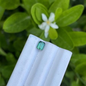 May include: A rectangular, teal-colored gemstone with vertical striations, set against a white surface. The background features green foliage and a white flower, creating a natural contrast. The gem's color is a vibrant teal.