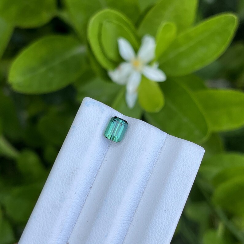 May include: A rectangular, teal-colored gemstone with vertical striations, set against a white surface. The background features green foliage and a white flower, creating a natural contrast. The gem's color is a vibrant teal.