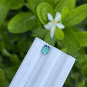 May include: A small, rectangular, teal-colored gemstone is displayed on a white surface. The gemstone has a rectangular cut with visible facets. The background features blurred green leaves and a white flower, suggesting a natural setting.