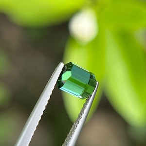 May include: A faceted, emerald-green gemstone is held by a pair of silver tweezers. The gem has a rectangular shape with multiple facets that reflect light. The background is blurred, with green foliage and a white flower.
