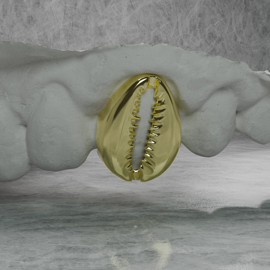 Grille Shell Sea Shell Inspired Grillz - Etsy