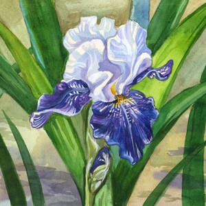Bellissimi fiori di iris ad acquerello / Decorazione da parete / Stampa digitale / Download digitale Stampe floreali STAMPABILI