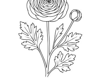 Dibujos florales para colorear: Rosas, peonías y margaritas (Descarga PDF tamaño A4)