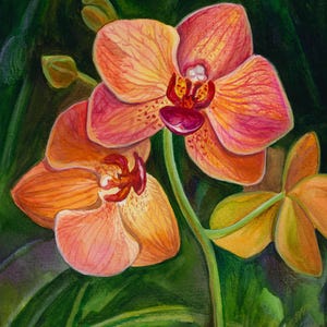 Watercolor painting orange orchids phalaenopsis | Digital download | Printable | Botanical |