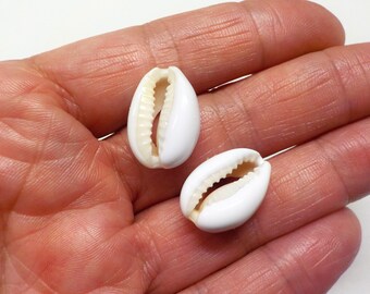 White Natural Sea Shell, Back Cut Cowrie Shell Beads, White Seashell Beads, Sliced Cowrie Shell Beads, Shell Slider 17 to 20mm - 2 pcs