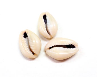 Beige Natural Sea Shell, Back Cut Cowrie Shell Beads, Beige Seashell Beads, Sliced Cowrie Shell Beads, Shell Slider 22 to 25mm - 5 pcs