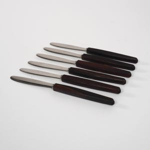Vintage 1960s Set of 6 Stainless Steel and Rosewood Handle Fruit Knives, with Original Box, English Made