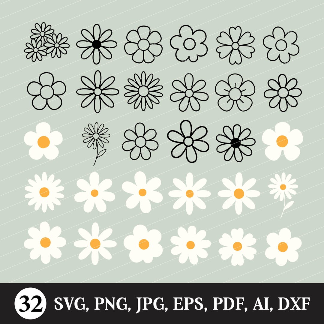 Daisy Flowers SVG PNG Bundle, Spring Cut Files (digital Download) - Etsy