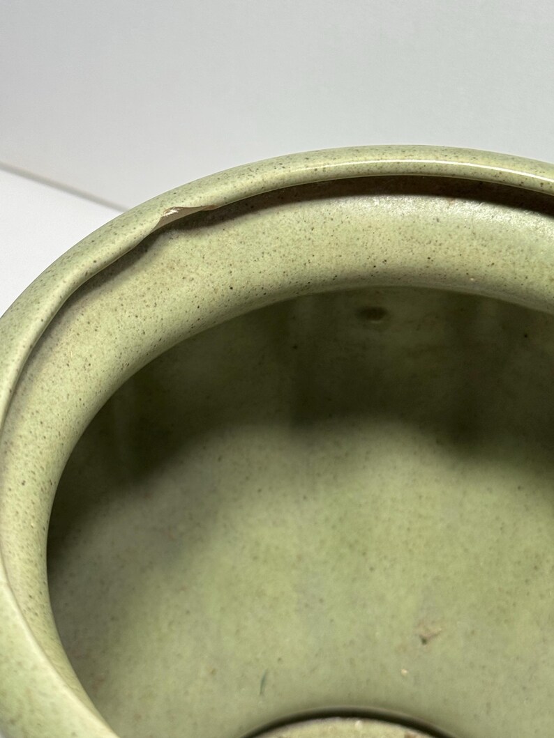 May include: Close-up of a light green ceramic bowl with a slightly rough texture. The rim of the bowl has a small chip. The interior of the bowl is smooth and the color is consistent throughout.