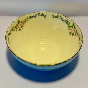 Può includere: Una ciotola in ceramica blu e bianca con un motivo floreale. La ciotola ha un bordo dorato e una base blu chiaro.