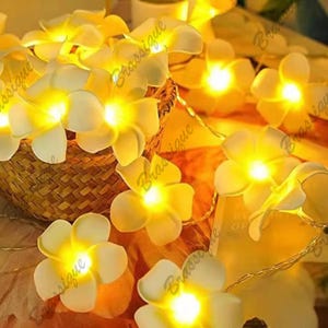 Puede incluir: Cadena de luces blancas con forma de flores con bombillas LED de color blanco cálido. Las flores tienen forma de flores de frangipani.