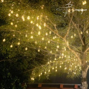 May include: A tree with dark green foliage illuminated by numerous small, warm white spherical string lights hanging from the branches. The lights create a glowing effect against the dark leaves, with the text Brassique visible in the upper right.