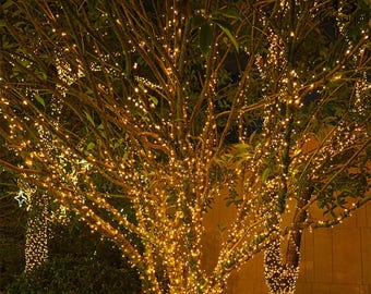 Solar & Plug-In Fairy Lights: Waterproof Copper Wire LED String Lights