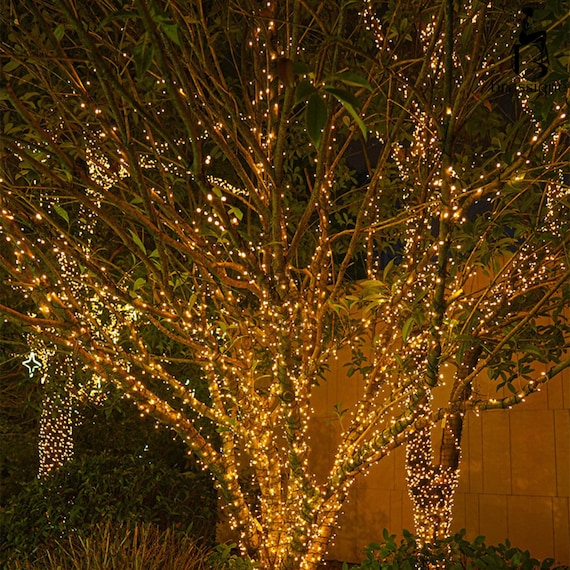 Clear Wire 12V War White String Lights Christas LED Fairy Lights For Hoe Xas Wedding Party Roo Yard Tree Holiday Decor - View #13