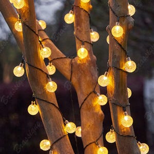 May include: A string of decorative globe lights with textured, clear spherical bulbs emitting a warm yellow glow. The lights are wrapped around the trunks of trees, featuring thin dark wires connecting each individual illuminated orb.