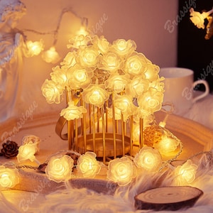 Blumen Kupfer LED-Lichterkette: USB-Laterne, 4 m 30 LEDs