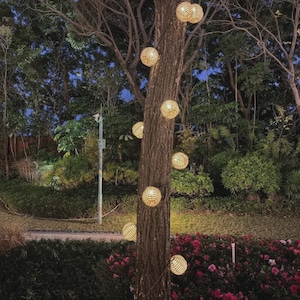 May include: A string of spherical, beige, woven lanterns wrapped around the trunk of a tree. The lanterns emit a warm, soft glow, illuminating the bark of the tree in a dark outdoor setting with green foliage and pink flowers visible nearby.
