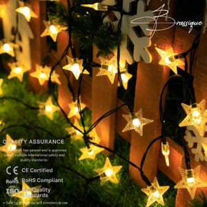 May include: A string of star-shaped fairy lights with warm white LED bulbs. The lights are strung on a black wire and are displayed against a wooden fence and greenery. The image includes text that says "Quality Assurance".