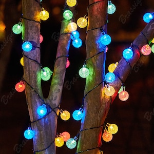 May include: String of colorful globe lights wrapped around tree branches. The lights are in various colors, including red, green, blue, and yellow. The lights are small, round, and have a textured surface. The string is black.