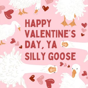Witzige Valentinstag Karte "Silly Goose"