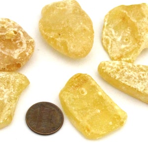 May include: A collection of amber-colored, irregularly shaped stones, some with a rough, textured surface. A copper-colored penny is included for size comparison. The stones vary in size and shape, with a light, translucent quality.