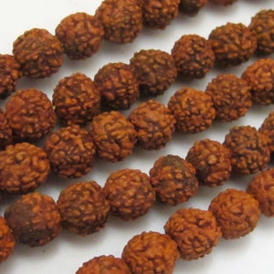 May include: Close-up of multiple strands of brown, textured Rudraksha beads. The beads are round and have a rough, pitted surface. The beads are strung together, creating a natural, earthy aesthetic. The image is well-lit, highlighting the details of the beads.