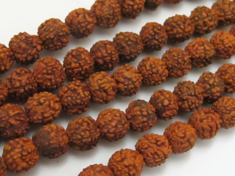 May include: Close-up of multiple strands of brown, textured Rudraksha beads. The beads are round and have a rough, pitted surface. The beads are strung together, creating a natural, earthy aesthetic. The image is well-lit, highlighting the details of the beads.
