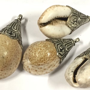 May include: Four cowrie shell pendants with silver-colored metal caps. The shells are cream-colored with brown spots. The metal caps have an ornate design and a small loop for hanging. These pendants are suitable for jewelry making.