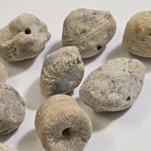 May include: A collection of nine small, weathered, beige-colored stones with holes drilled through them. The stones have a rough, textured surface and vary in shape, some resembling shells or pebbles.
