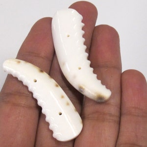 May include: Two ivory-colored, curved, carved bone pieces with a scalloped edge and small holes. The pieces have brown spots and are held in a hand against a white background. These could be used for jewelry making.