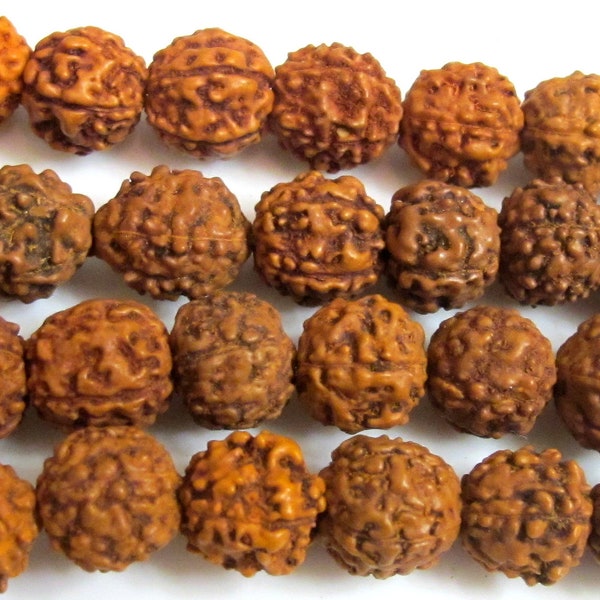 10 beads -Natural Rudraksha seed beads from Nepal - 9 -10 mm -  NB010