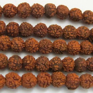 May include: Close-up of multiple strands of brown, textured Rudraksha beads. The beads are round with a rough, pitted surface, and are strung together in neat rows. The color is a warm, earthy brown.